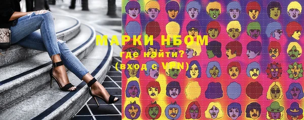 мдпв Вяземский