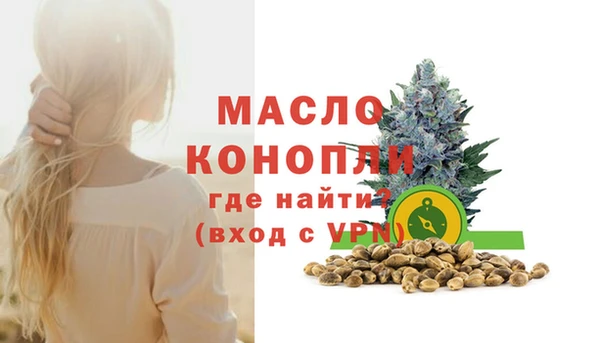 мдпв Вяземский