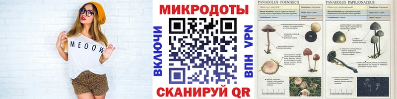Псилоцибиновые грибы Psilocybe  МЕГА сайт  Зея 